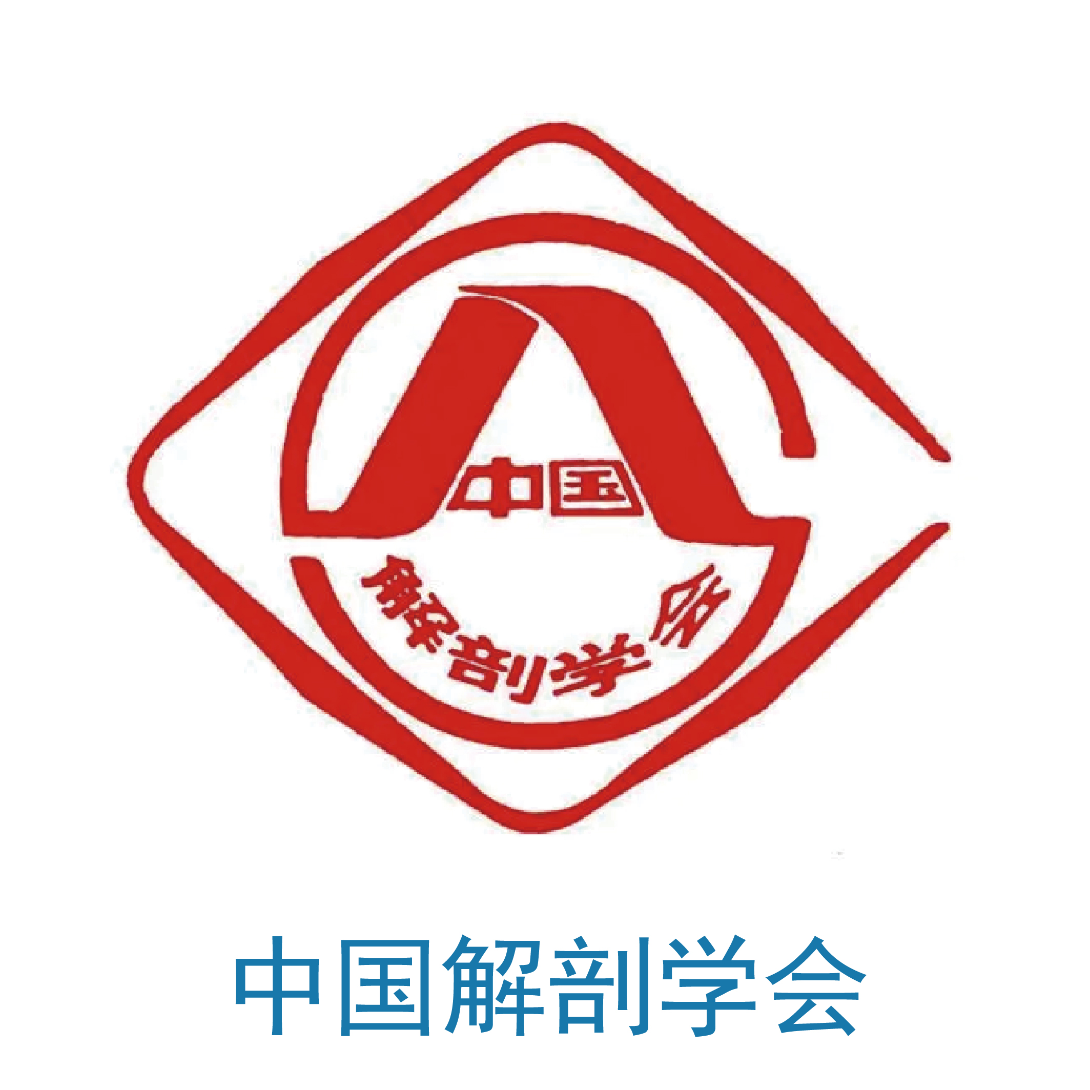 中国解剖学会