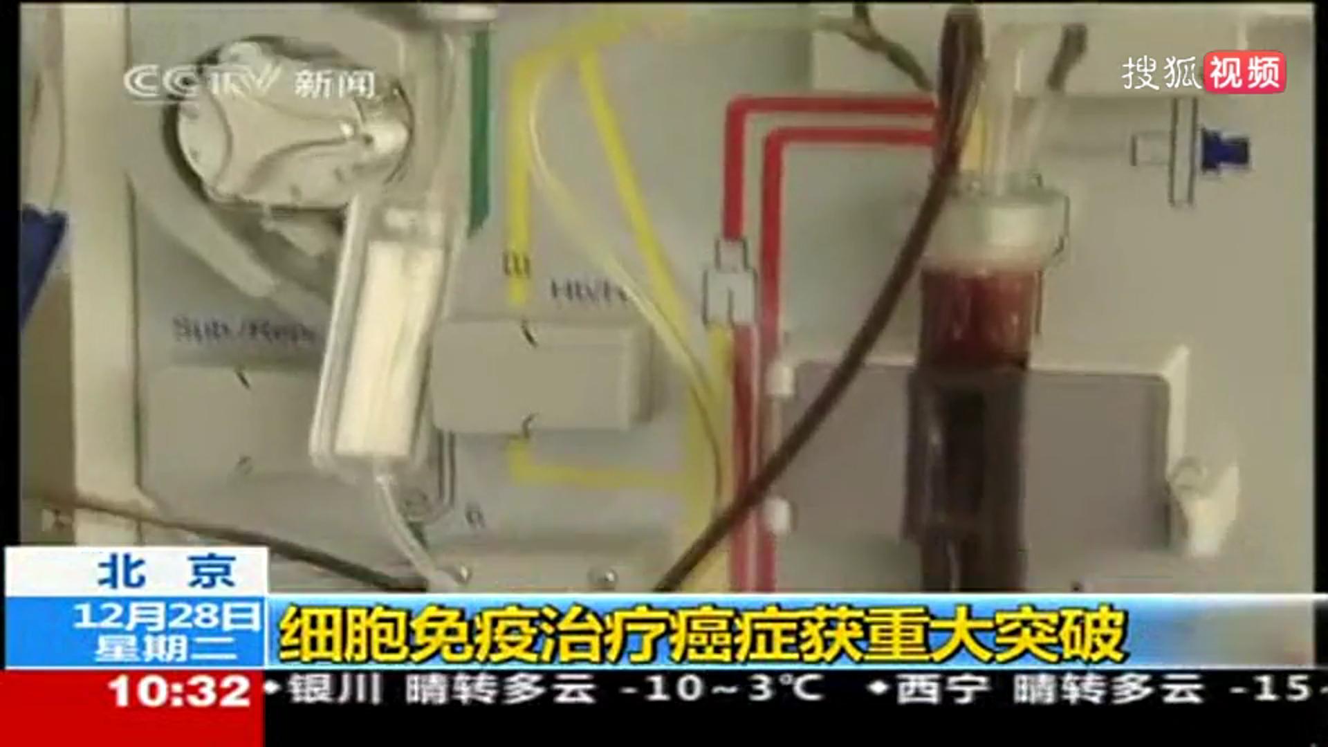 细胞免疫治疗获重大突破(cctv13)